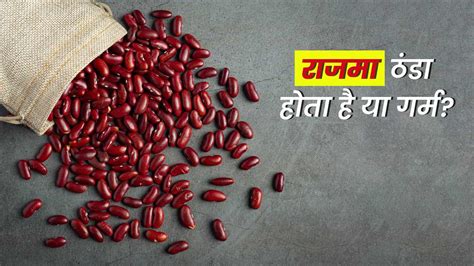 राजमा की तासीर कैसी होती है? कब और किसे नहीं खाना चाहिए | When And Who ...