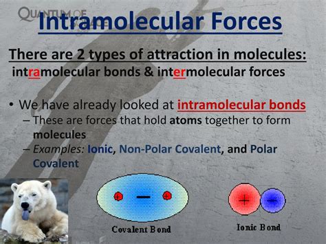 Image result for Intramolecular Forces Explained