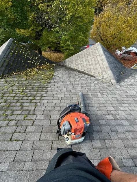 Clear Skies Cleaning - Gutter Cleaning Service - Seattle, Washington