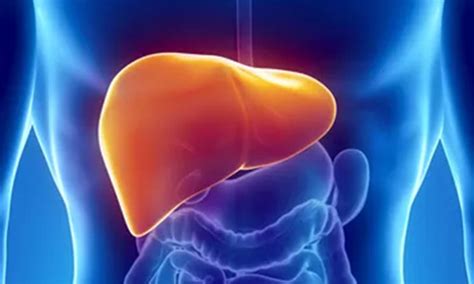 Latest Advancements in Hepatic Encephalopathy | CME Learning Center ...