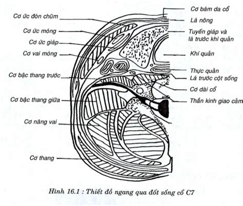 Image result for HTML Tutorial Exercise