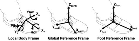 Global to Local Reference Frame 的图像结果