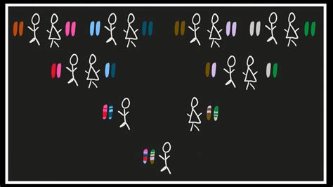 Genetic Inheritance 的图像结果