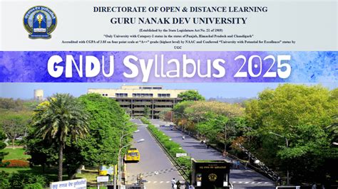 GNDU Syllabus 2024-25 PDF Download, Get BBA, BCom, BCA Syllabus @gndu ...