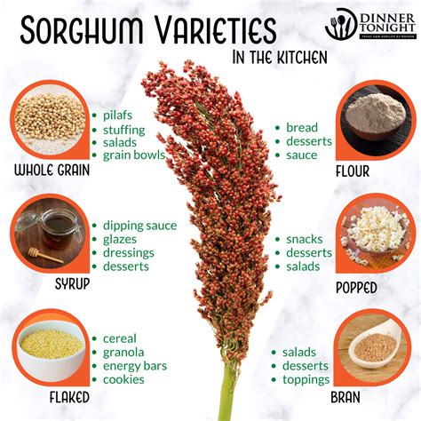 Sorghum In the Kitchen: Explore Different Varieties and Recipes