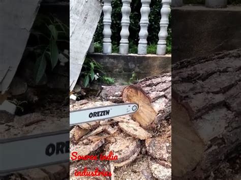 Chain Saw Machine - Wood Cutting Machine from Jaipur