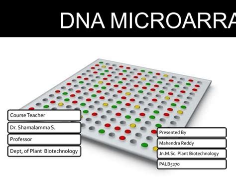 DNA Microarray Modle 的图像结果