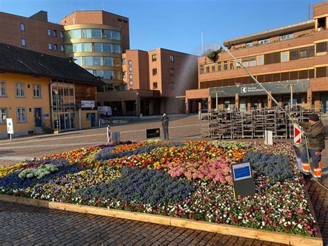 𝗧𝗛𝗘 𝗕𝗘𝗦𝗧 Hotels in Effretikon of 2025 (with Prices) - Tripadvisor