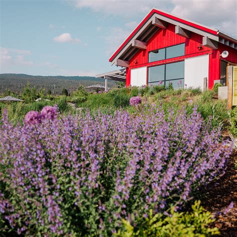 JOIEFARM WINERY (2026) All You Need to Know BEFORE You Go (with Photos ...
