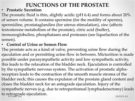 The Prostate Gland.pptx