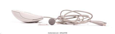 Old Computer Mouse 的图像结果