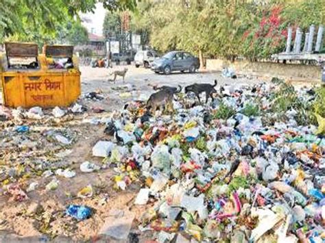 Garbage bins overflow in Panchkula as sweepers’ strike enters Day 3 ...