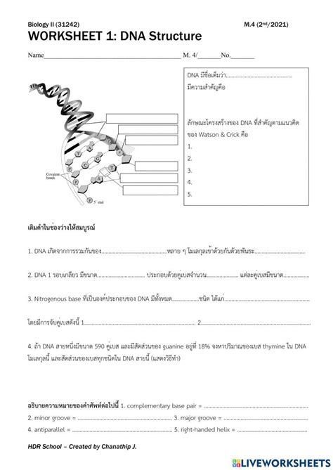 Biology DNA Worksheet 的图像结果
