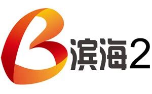 天津滨海电视台二套直播「高清」