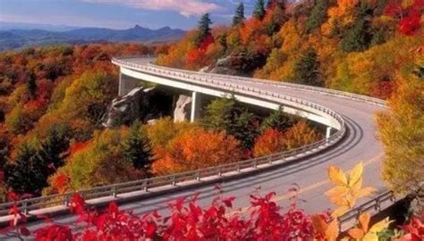 Image result for Grid Programming