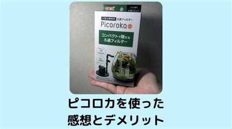 Image result for Intagram Question Sticker