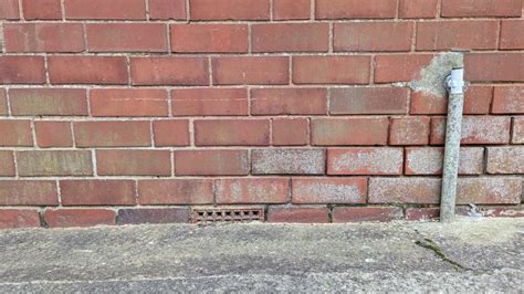 Image result for Damp Course Problems