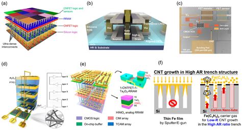 High-Performance Carbon Nanotube Electronic Devices: Progress and ...