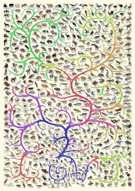 Tree of Life Evolution 的图像结果