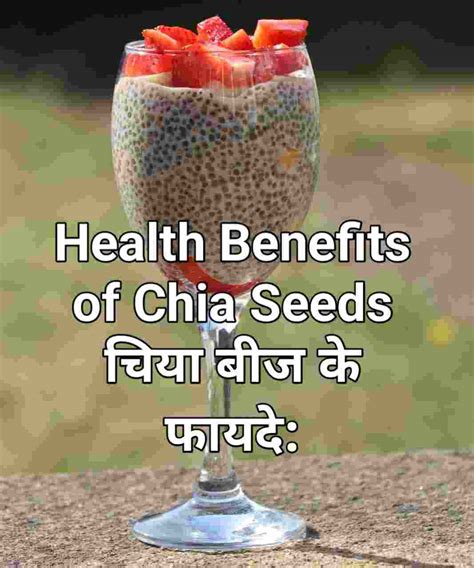 चिया बीज के फायदे:Benefits of Chia seeds in Hindi