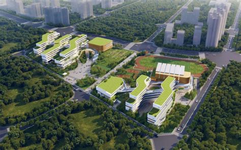 2022年广州市西关外国语学校高中招生信息|西关|广州市|高中_新浪新闻