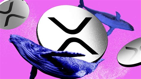 ‘Cluster’ of amended XRP ETF filings roll in as Ripple seals SEC case ...