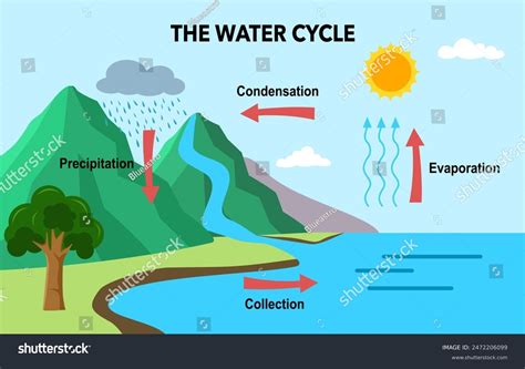 Simple Water Cycle Explanation For Kids