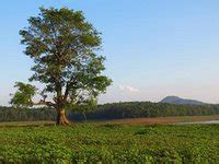 HARANGI BACKWATERS - All You Need to Know BEFORE You Go 2026 (with ...