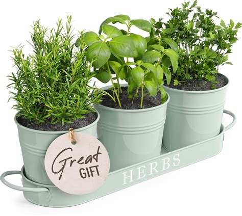 Amazon.com : Barnyard Designs White and Soft Mint Herb Planter Set with ...