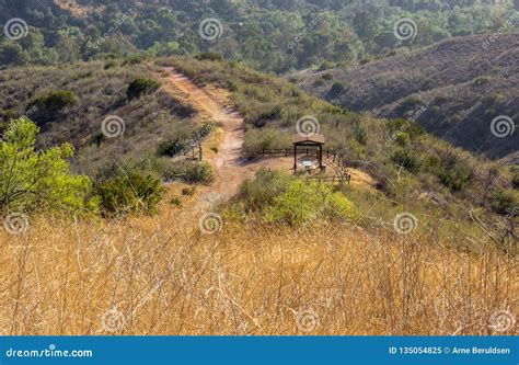 Hiking in Santiago Oaks Regional Park Stock Image - Image of road ...