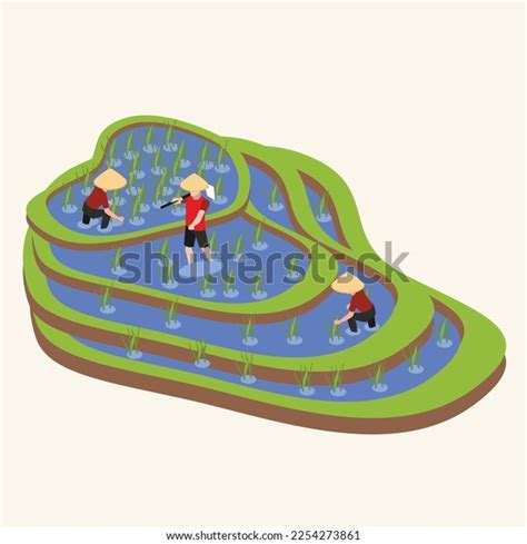 Java Rice Drawing 的图像结果