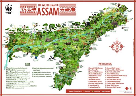 Green Humour: Biodiversity Map of Assam