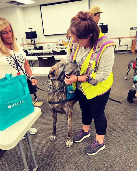 Krystal Williams on LinkedIn: #therapydog #mentalhealth #amazon #tpa3