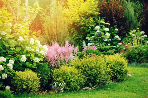 Decorative Plants And Shrubs For Landscaping | Shelly Lighting