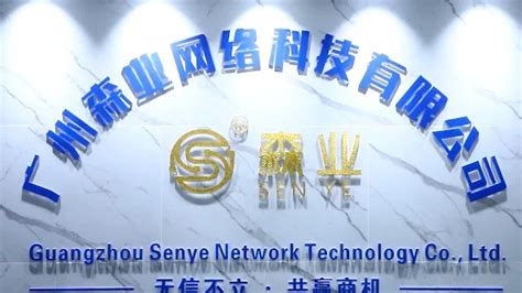Company Overview - Guangzhou Senye Network Technology Co., Ltd.