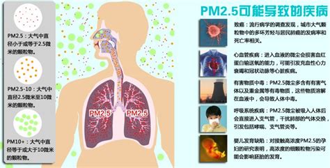 【专题】走进空气净化器 春节备战PM2.5 - 温州网