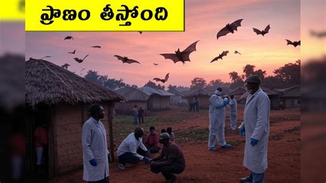 Congo Mystery Virus: భయంకర మిస్టరీ వైరస్.. 50 మందికి పైగా మృతి ...