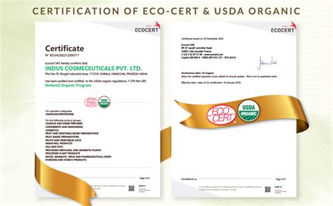 Buy INDUS VALLEY Bio Organic Extra Virgin Organic Coconut Oil Set Of 2 ...