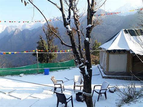 BLUE BELLS, AULI JOSHIMATH (Uttarakhand) - Lodge Reviews & Photos ...
