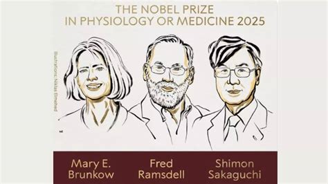 Nobel Prize 2025 in Physiology or Medicine awarded: Who are the winners ...