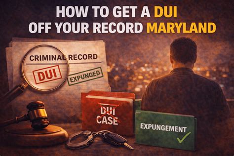 Speeding Ticket Cost Calculator | Scheuerman Law LLC