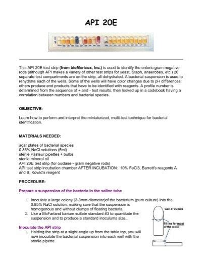 Image result for API Test Strip Guide