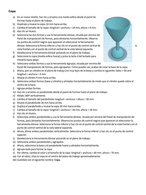 Image result for Copa Experts Practical