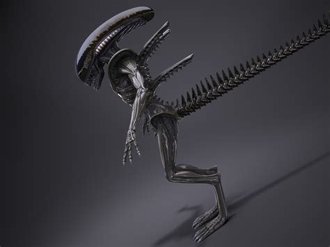 Alien Xenomorph 3D Model 的图像结果