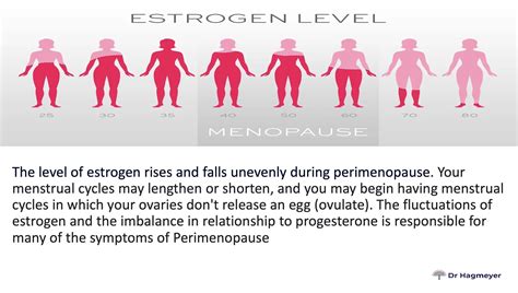 Best Supplements to Help with Perimenopause and Menopause- A Comprehensive Guide | Dr. Hagmeyer