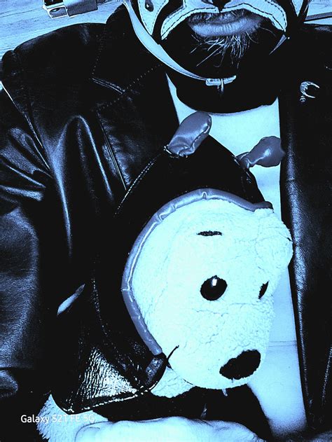 Image result for Cuddle Bug Meme