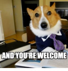 25 You're Welcome Memes You Can Totally Use Today - SayingImages.com