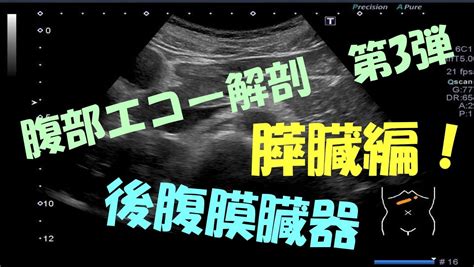 Image result for Quick Start Algorithm Contraception