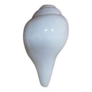 Buy White Conch Shell Pooja Shankh for Aarti Right Handed(100% Original ...