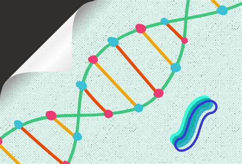 盘点全球各国政府主导的人类基因组测序计划 - 分析行业新闻